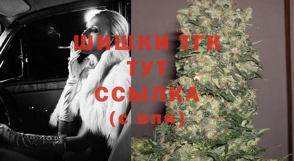 шишки Протвино