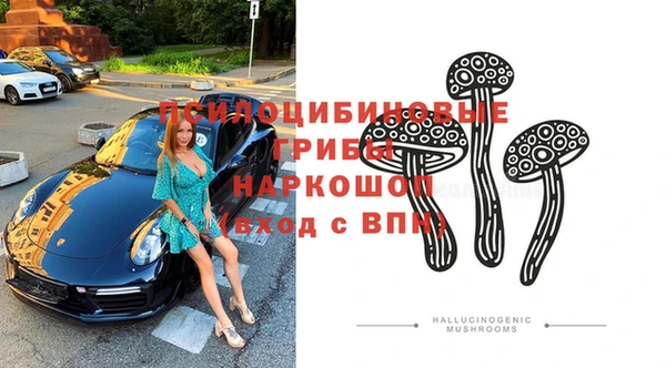 spice Приозерск