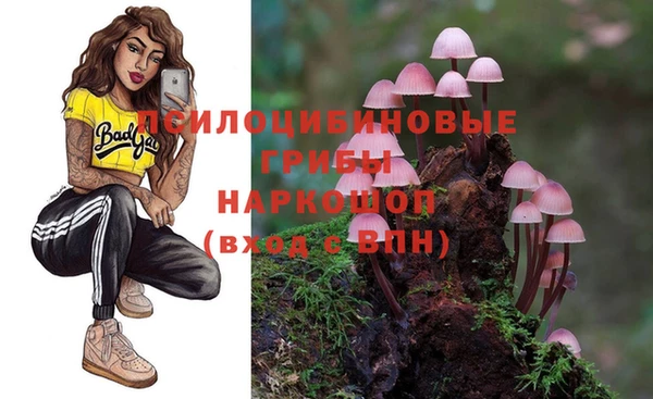 шишки Протвино