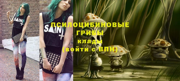 spice Приозерск