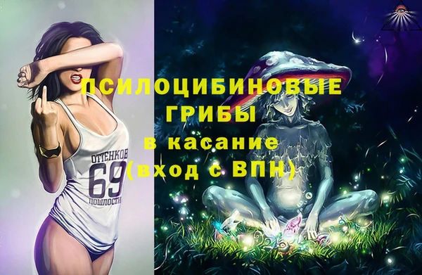 шишки Протвино