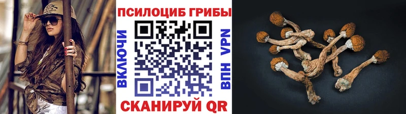Галлюциногенные грибы ЛСД купить наркотик Ряжск