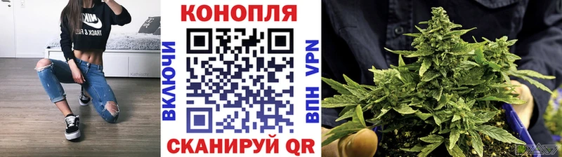 kraken   Ряжск  Каннабис гибрид 
